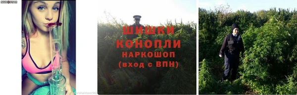 гидра Баксан