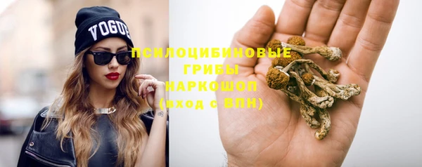 стафф Балахна