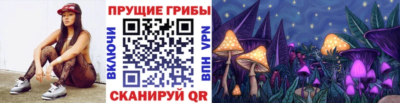сколько стоит  Новочеркасск  Псилоцибиновые грибы Psilocybe 
